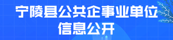 宁陵县公共企事业单位信息公开